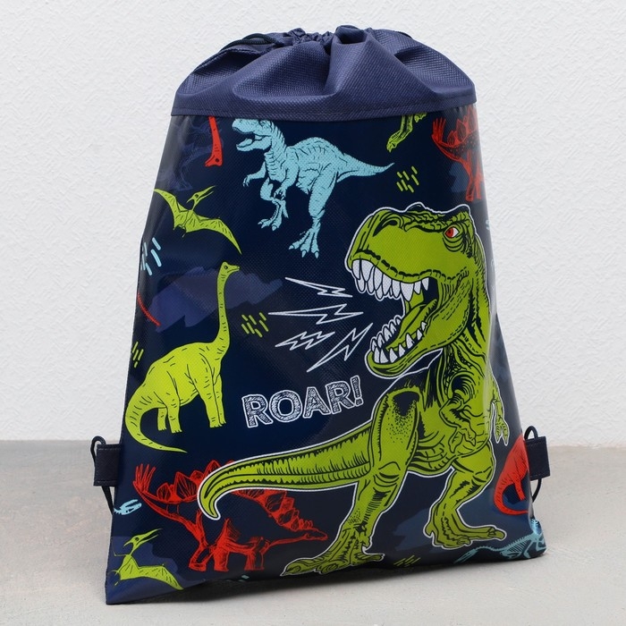 Мешок для обуви &laquo;Динозавр: Дино&raquo; полиэстер, размер 30 х 40 см