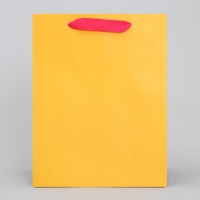 Пакет подарочный трёхцветный, упаковка, &laquo;Жёлтый-розовый-голубой&raquo;, MS 18 х 23 х 10 см