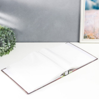 Фотоальбом на 500 фото 10х15 см "Пионы" золот.обв,объем.эл, в коробке МИКС 33,5х30,5х5,7 см Фотоальбом на 500 фото 10х15 см "Пионы" золот.обв,объем.эл, в коробке МИКС 33,5х30,5х5,7 см