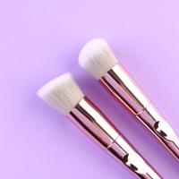 Набор кистей для макияжа &laquo;Нежность&raquo;, 5 шт, 19 &times; 8 см, BEAUTY FOX