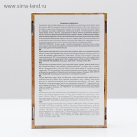 Пастила &laquo;Пастилушка&raquo; ассорти: яблоко, груша, вишня, дыня, апельсин, барбарис, 800 г