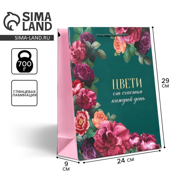 Пакет подарочный ламинированный, упаковка, &laquo;Каждый день&raquo;, M 24 х 29 х 9 см