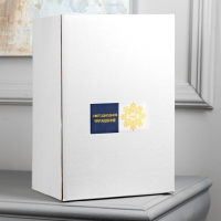 Фигура акриловая &laquo;Пингвин&raquo; 30 см, 40 LED, 220 В, свечение белое