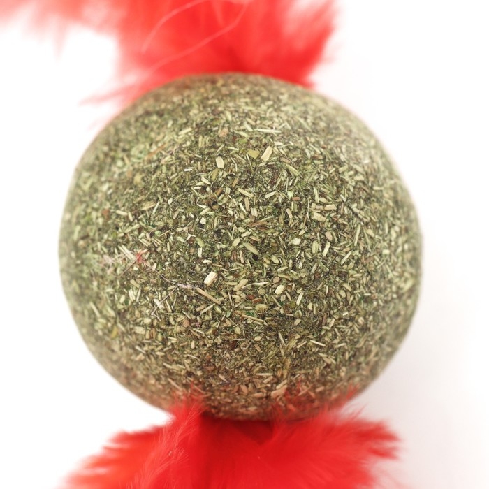 Игрушка для кошек из прессованной кошачьей мяты Игрушка для кошек из прессованной кошачьей мяты "Кошачья стрела", 3,2 см