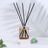 Диффузор ароматический в тубусе "Вестин белый чай", 200 мл, с наполнителем Диффузор ароматический в тубусе "Вестин белый чай", 200 мл, с наполнителем