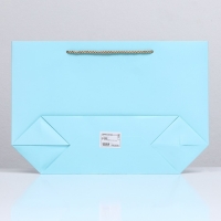 Пакет подарочный с лентой 26 х 25 х 11 см "Голубой" Пакет подарочный с лентой 26 х 25 х 11 см "Голубой"