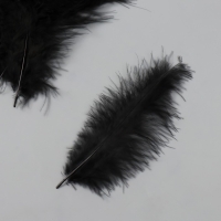 Перо декоративное гусиное пуховое "Чёрное" набор 40 шт h=10-15 см