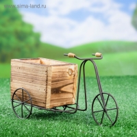 Кашпо-велосипед 23х8х12см Кашпо-велосипед 23х8х12см