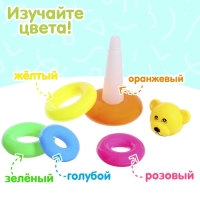 Пирамидка &laquo;Мишка&raquo;, 5 колец