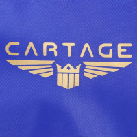 Термосумка Cartage Т-12, синяя, 18 л, 35х21х24 см