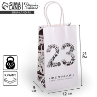 Пакет подарочный крафт, упаковка, &laquo;С Днём защитника Отечества&raquo;, 21 х 12 х 9 см