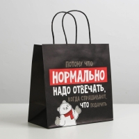 Пакет подарочный новогодний «Нормально надо отвечать», 22 х 22 х 11 см Пакет подарочный новогодний «Нормально надо отвечать», 22 х 22 х 11 см