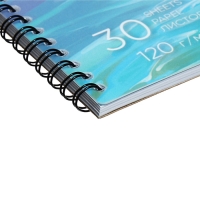 Альбом для рисования А4, 30 листов, блок 120 г/м&sup2;, на спирали, Erich Krause "Art Spirit", пластиковая обложка, 100% белизна, твердая подложка