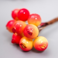 Декор для творчества "Ягодки жёлто-розовые" 1 букет=10 ягод d=1 см 10 см Декор для творчества "Ягодки жёлто-розовые" 1 букет=10 ягод d=1 см 10 см