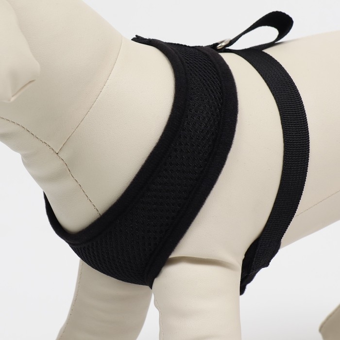 Шлейка мягкая из неопрена, размер M, ОШ 34 см, ОГ 32-42 см, чёрная Шлейка мягкая из неопрена, размер M, ОШ 34 см, ОГ 32-42 см, чёрная