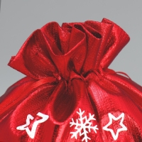 Мешочек подарочный парча &laquo;Верь в мечту&raquo;, 20 х 30 см +/- 1.5 см, Новый год