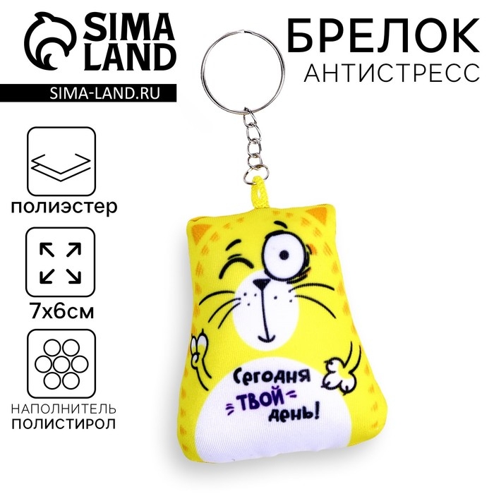 Брелок-антистресс «Сегодня твой день!», кот, 6х7 см Брелок-антистресс «Сегодня твой день!», кот, 6х7 см