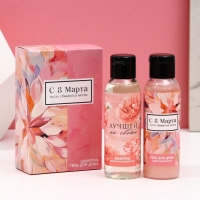 Подарочный набор косметики &laquo;Пусть сбываются мечты!&raquo;, гель для душа 100 мл и шампунь для волос 100 мл, ЧИСТОЕ СЧАСТЬЕ