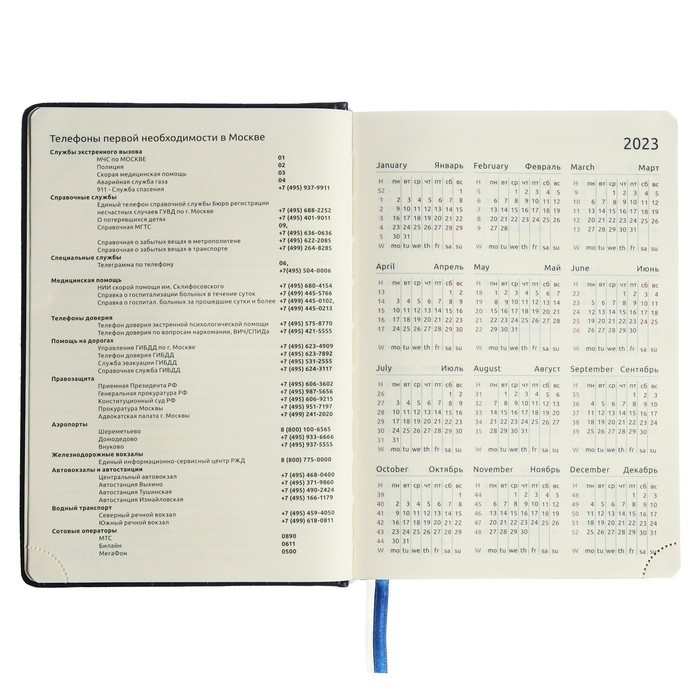 Ежедневник датированный 2024 A5 176 листов, deVENTE.Wild, твёрдая обложка из искусственной кожи, золотой срез, ляссе, кремовый блок 70 г/м2, синий