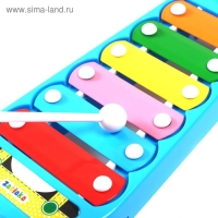 Металлофон &laquo;Панда&raquo;, цвета МИКС