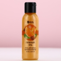 Гель для душа, 100 мл, аромат пряный эль, Новый Год Гель для душа, 100 мл, аромат пряный эль, Новый Год