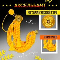 Карнавальный аксельбант «Солдат на параде», золотой Карнавальный аксельбант «Солдат на параде», золотой