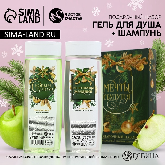 Подарочный набор косметики &laquo;Мечты обязательно сбудутся&raquo;, гель для душа и шампунь для волос, 2 х 250 мл, Новый Год