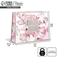 Пакет подарочный ламинированный горизонтальный, упаковка, «Present for you», ML 27 х 23 х 11,5 см Пакет подарочный ламинированный горизонтальный, упаковка, «Present for you», ML 27 х 23 х 11,5 см