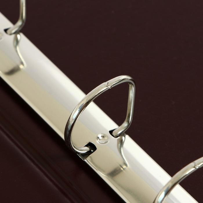 Альбом для монет на кольцах, формат Оптима 230 х 265 мм Calligrata, входит до 20 листов, обложка ПВХ, коричневый Альбом для монет на кольцах, формат Оптима 230 х 265 мм Calligrata, входит до 20 листов, обложка ПВХ, коричневый