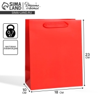 Пакет подарочный ламинированный, упаковка, &laquo;Красный&raquo;, MS 18 х 23 х 10 см