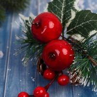 Декор "Зимние грезы" яблоки снежные еловые веточки шишки, 16 см Декор "Зимние грезы" яблоки снежные еловые веточки шишки, 16 см