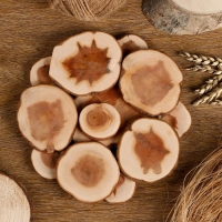 Подставка под горячее «Классика», D=20 см, можжевельник Подставка под горячее «Классика», D=20 см, можжевельник