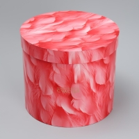 Набор шляпных коробок 5 в 1, упаковка подарочная, &laquo;Перья&raquo;, 13 х 14 ‒ 19.5 х 22 см