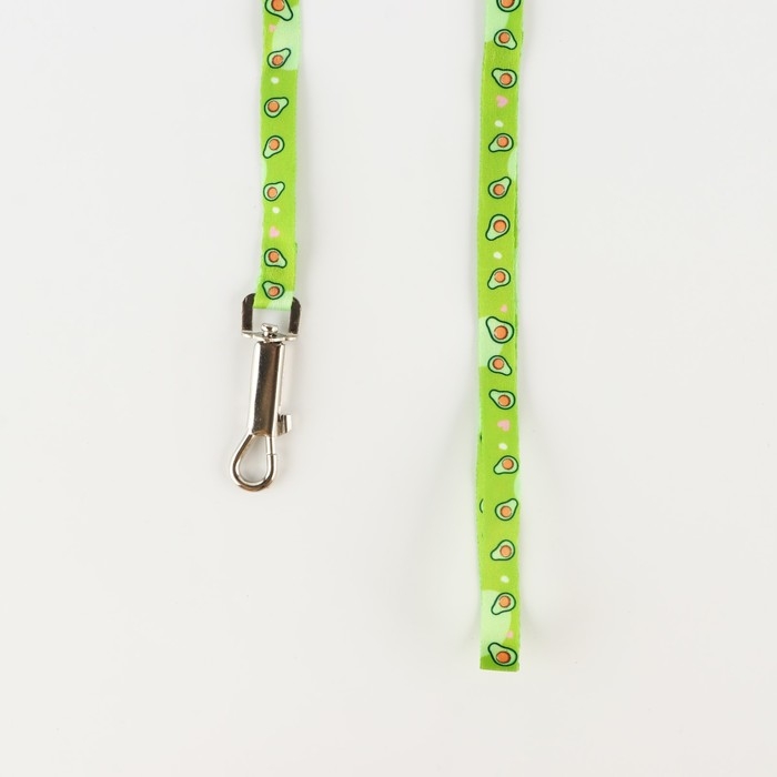 Комплект &laquo;Авокадо&raquo;, шлейка 24-36 см, поводок 120х1 см