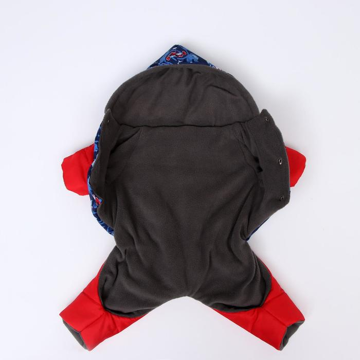 Комбинезон зимний для животных "Лыжник",XL (ДС 31-33, ОШ 30-32, ОГ 42-46 см), микс