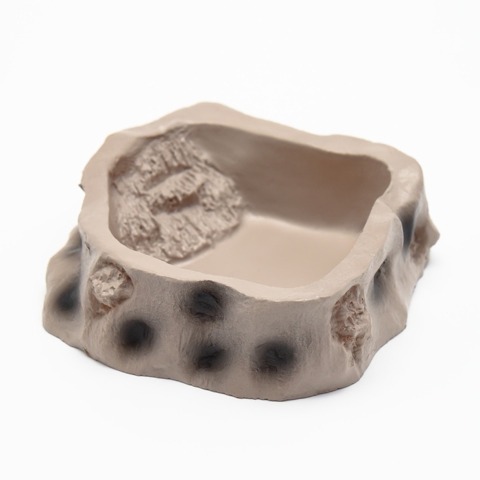 Кормушка для террариума, 8,2 х 8 х 2,5 см Кормушка для террариума, 8,2 х 8 х 2,5 см