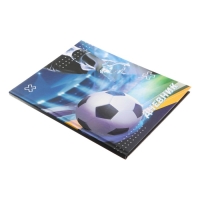 Дневник для 5-11 классов, "Мяч в воротах", твердая обложка 7БЦ, матовая ламинация, выборочный лак, 48 листов Дневник для 5-11 классов, "Мяч в воротах", твердая обложка 7БЦ, матовая ламинация, выборочный лак, 48 листов