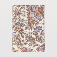 Обложка для паспорта, цвет разноцветный