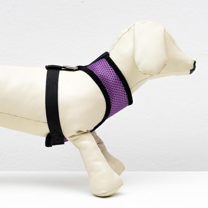 Шлейка мягкая из неопрена, размер S, ОШ 24 см, ОГ 24-34 см, фиолетовая Шлейка мягкая из неопрена, размер S, ОШ 24 см, ОГ 24-34 см, фиолетовая