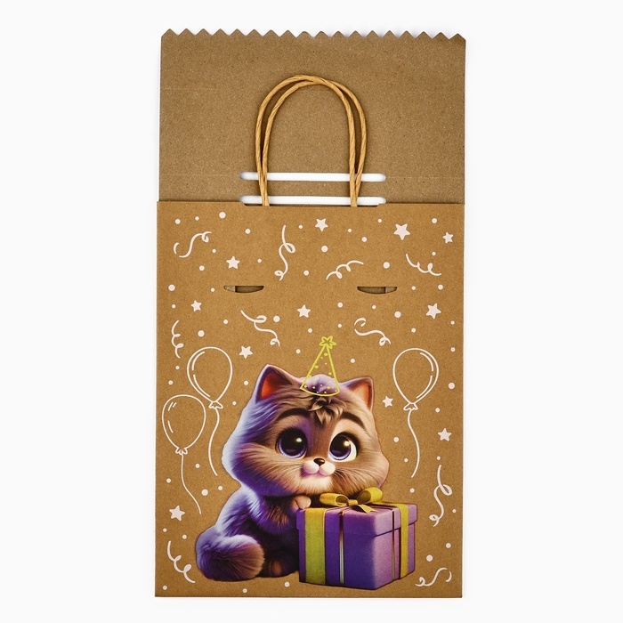 Пакет с клапаном &laquo;С Днём рождения&raquo;, котик, крафт, глиттер, 19,5 &times; 10 &times; 25.2 см