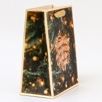 Пакет ламинированный &laquo;Волшебного и сказочного нового года&raquo;, MS 18 &times; 23 &times; 10 см