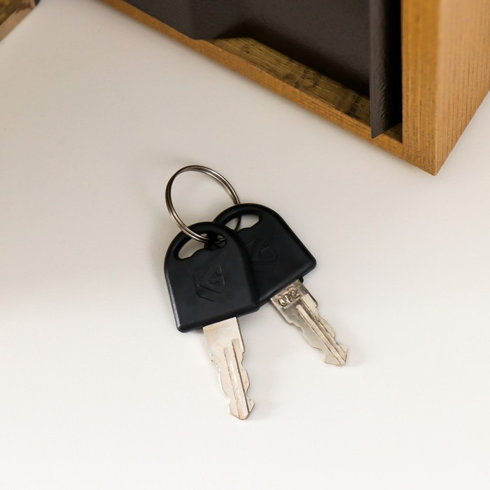 Сейф шкатулка книга Сейф шкатулка книга "Горе от ума" 21х13х5 см