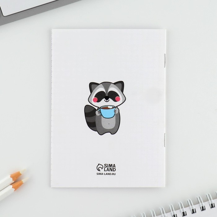 Подарочный набор блокнот и магнитные закладки 2 шт. «Будь как енот» Подарочный набор блокнот и магнитные закладки 2 шт. «Будь как енот»