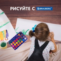 Акварель 28 цветов BRAUBERG PREMIUM, круглые кюветы 28 мм, в пенале