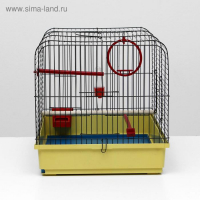 Клетка для птиц "Грация", 49 х 36 х 37 см, микс цветов Клетка для птиц "Грация", 49 х 36 х 37 см, микс цветов
