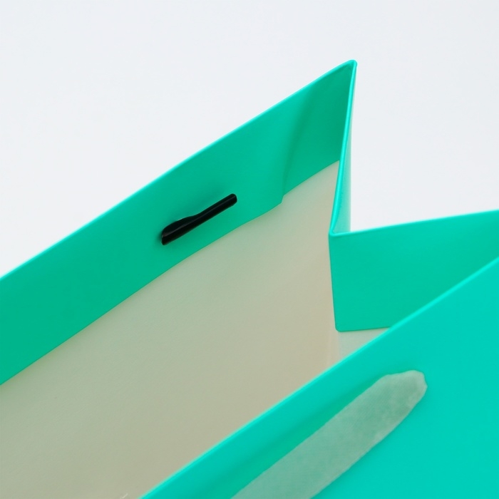 Пакет ламинированный «Тиффани», ML 23 × 27 × 11.5 см Пакет ламинированный «Тиффани», ML 23 × 27 × 11.5 см