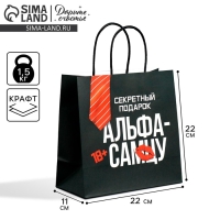 Пакет подарочный крафтовый, упаковка, «Альфа», 22 х 22 х 11 см Пакет подарочный крафтовый, упаковка, «Альфа», 22 х 22 х 11 см