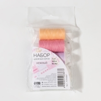 Набор ниток &laquo;Нежный&raquo;, 40ЛШ, 200 м, 5 шт, цвет разноцветный