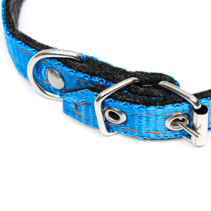 Ошейник капроновый, 30 х 1,2 см, безразмерный, микс цветов Ошейник капроновый, 30 х 1,2 см, безразмерный, микс цветов