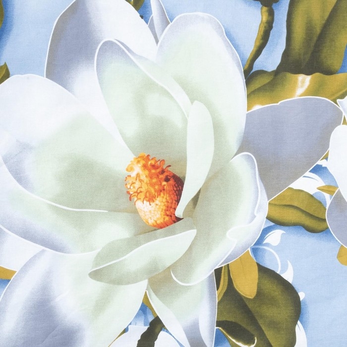 Пододеяльник Этель Пододеяльник Этель "Кувшинки" 145*210 см, 100% хлопок, бязь, 125 г/м²